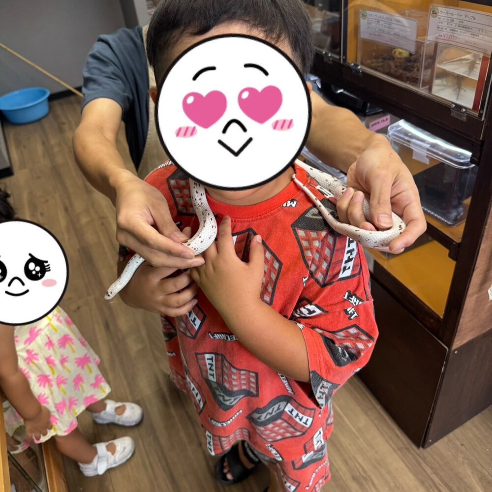 ブログ画像