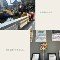 ブログ画像