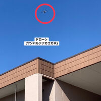 ブログ画像