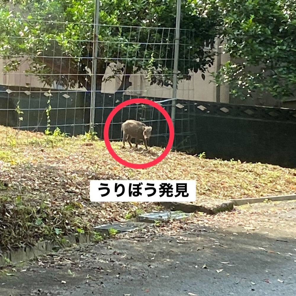 ブログ画像