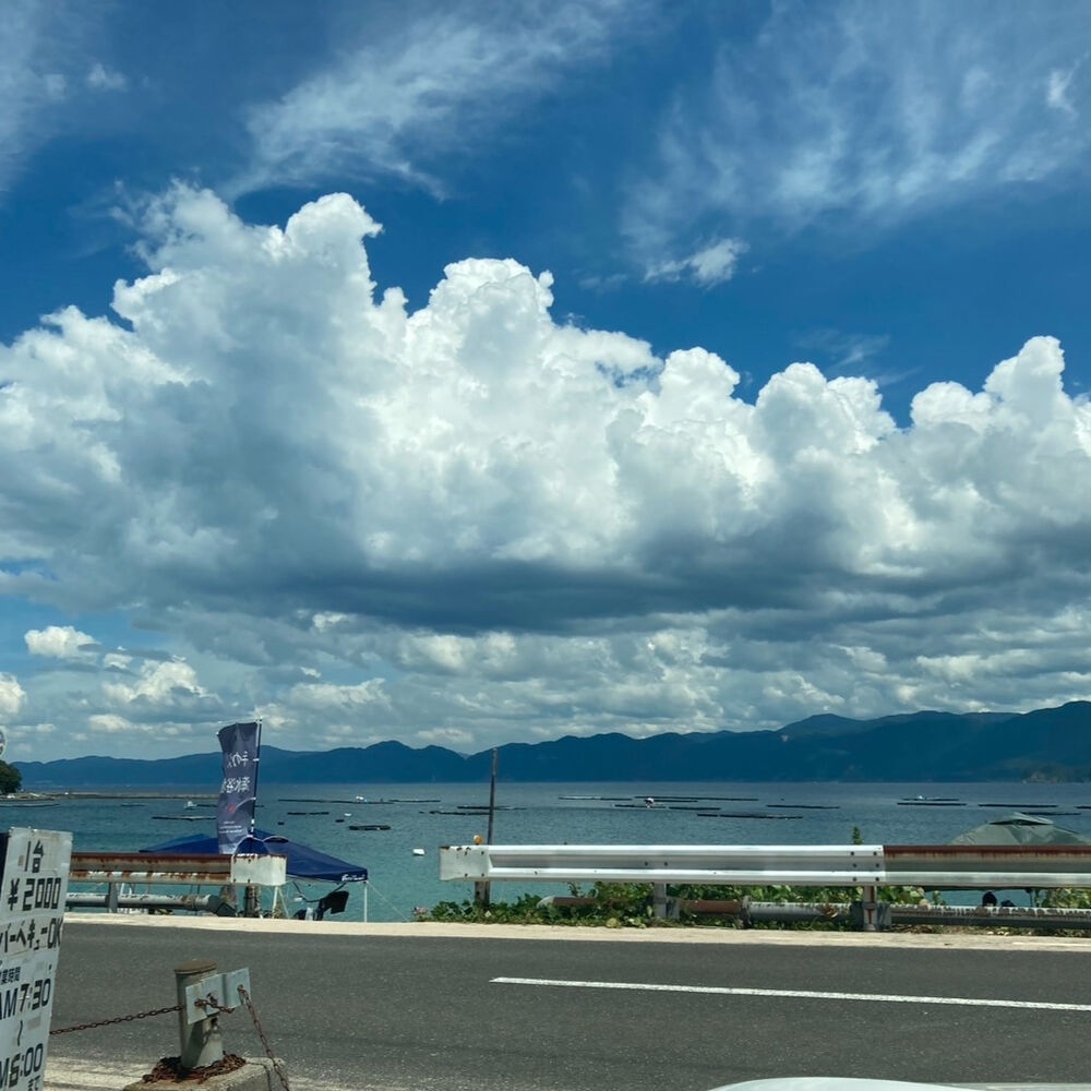 ブログ画像